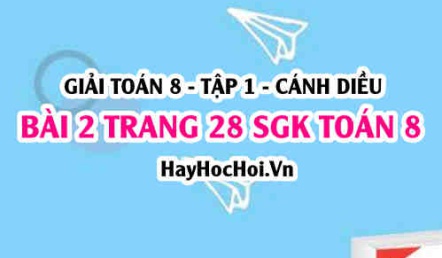 Giải bài 2 trang 28 Toán 8 Tập 1 SGK Cánh Diều